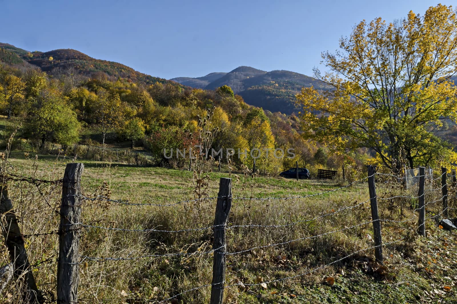 Amazing autumn view of glade, hill, forest with deciduous trees  near to pretty village Zhrebichko, Bratsigovo municipality,  Rhodope mountains, Bulgaria