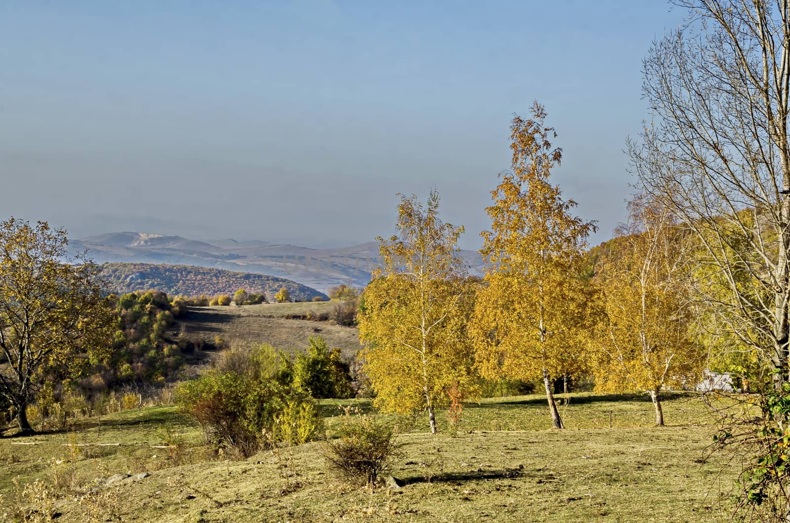 Amazing autumn view of glade, hill, forest with deciduous trees  near to pretty village Zhrebichko, Bratsigovo municipality,  Rhodope mountains, Bulgaria