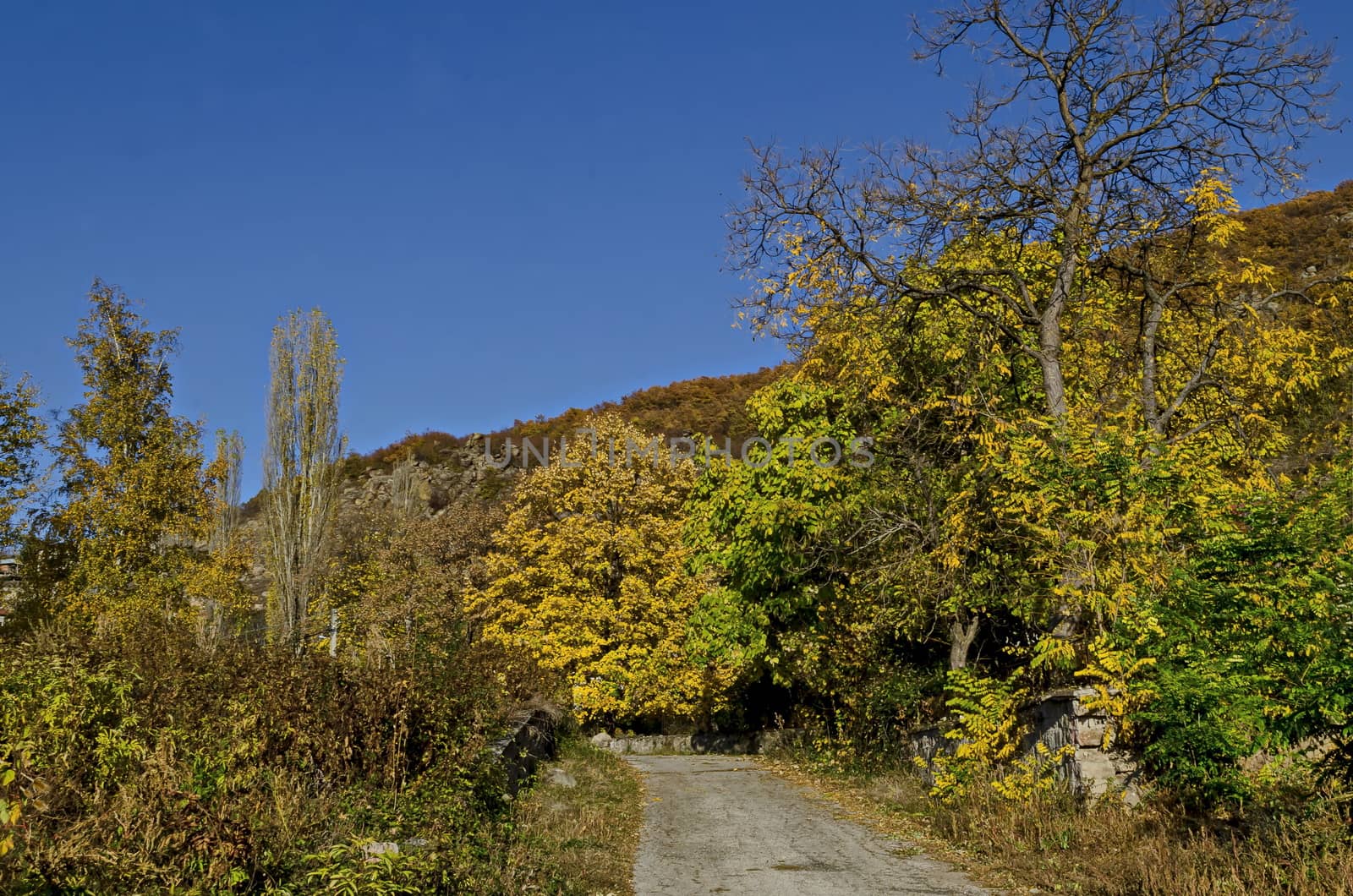 Amazing autumn view of glade, hill, forest with deciduous trees and road near to pretty village Zhrebichko, Bratsigovo municipality,  Rhodope mountains, Bulgaria