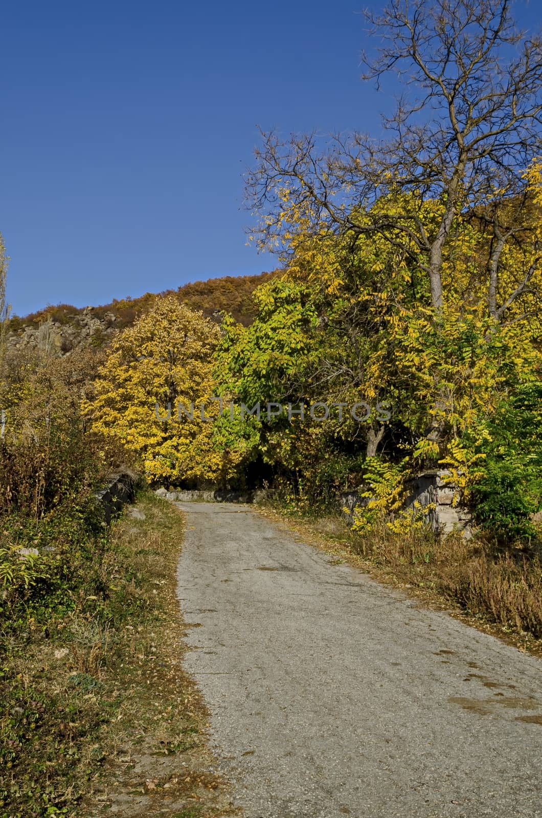 Amazing autumn view of glade, hill, forest with deciduous trees and road near to pretty village Zhrebichko, Bratsigovo municipality,  Rhodope mountains, Bulgaria