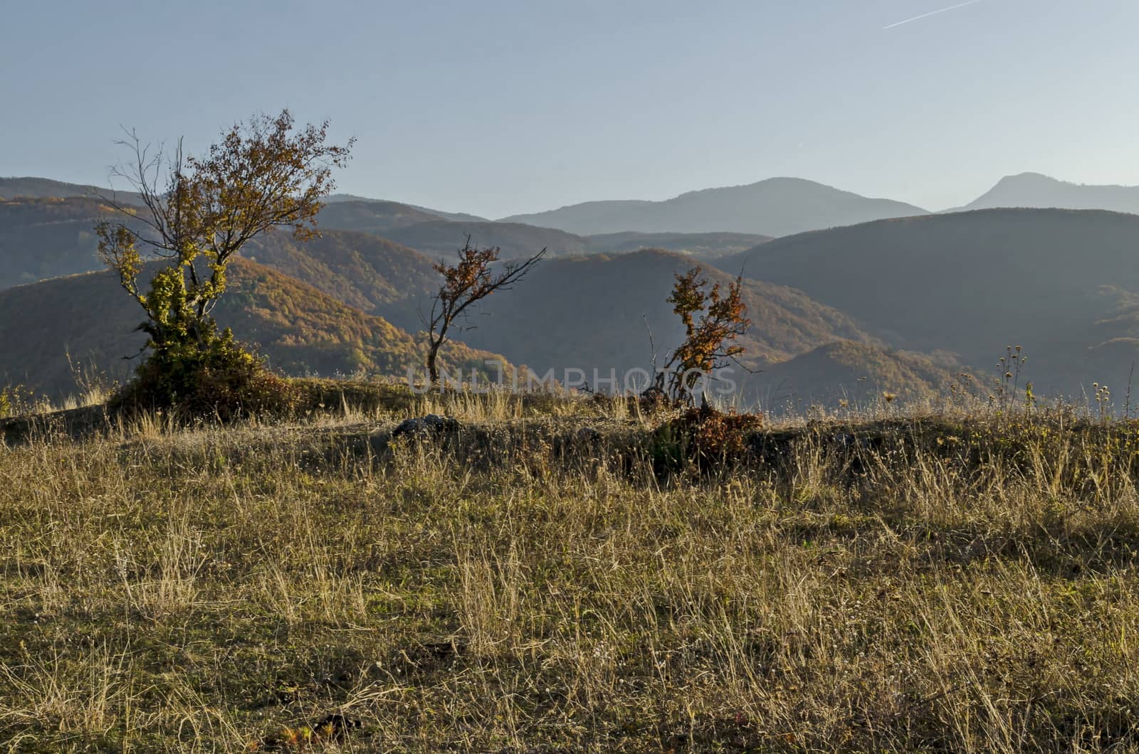 Amazing autumn view of glade, hill, forest with deciduous trees  near to pretty village Zhrebichko, Bratsigovo municipality,  Rhodope mountains, Bulgaria