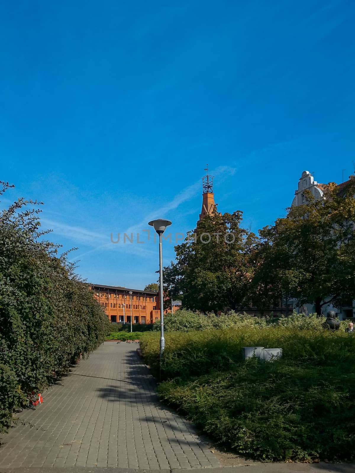 Pavement path to red brick buildings with bushes around by Wierzchu