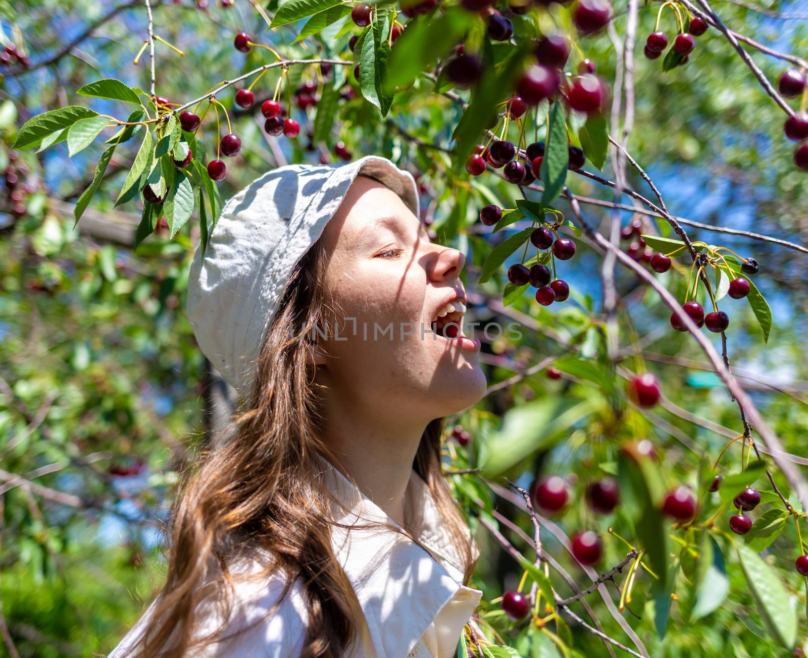 Young, beautiful girl in the bush of viburnum and apple tree