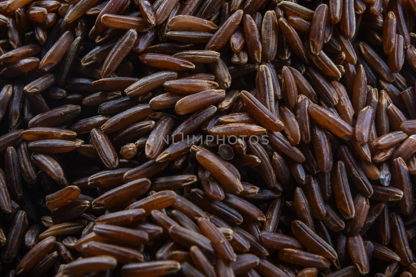 Raw brown rice is a beautiful background.