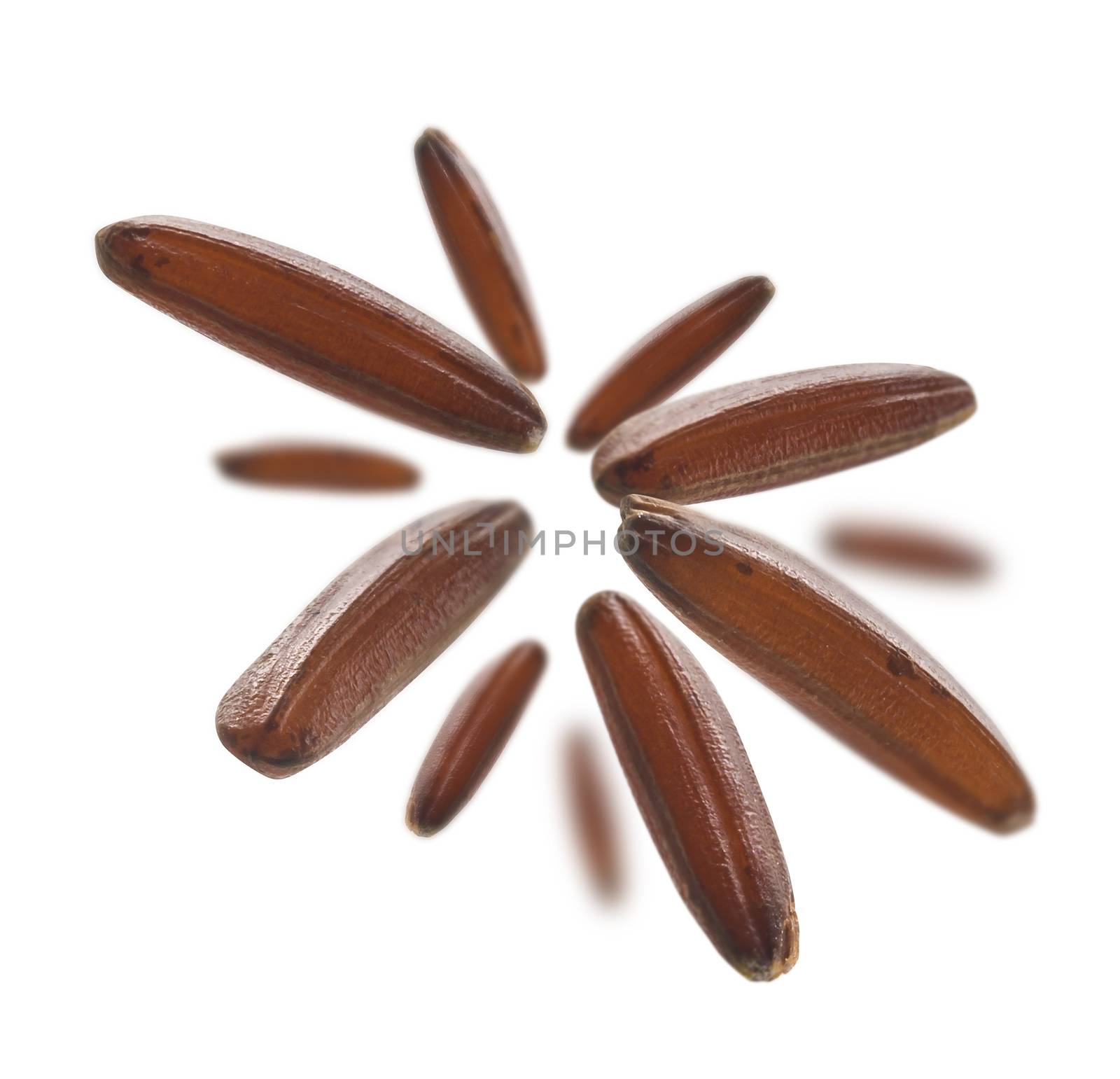 Raw brown rice levitates on a white background.