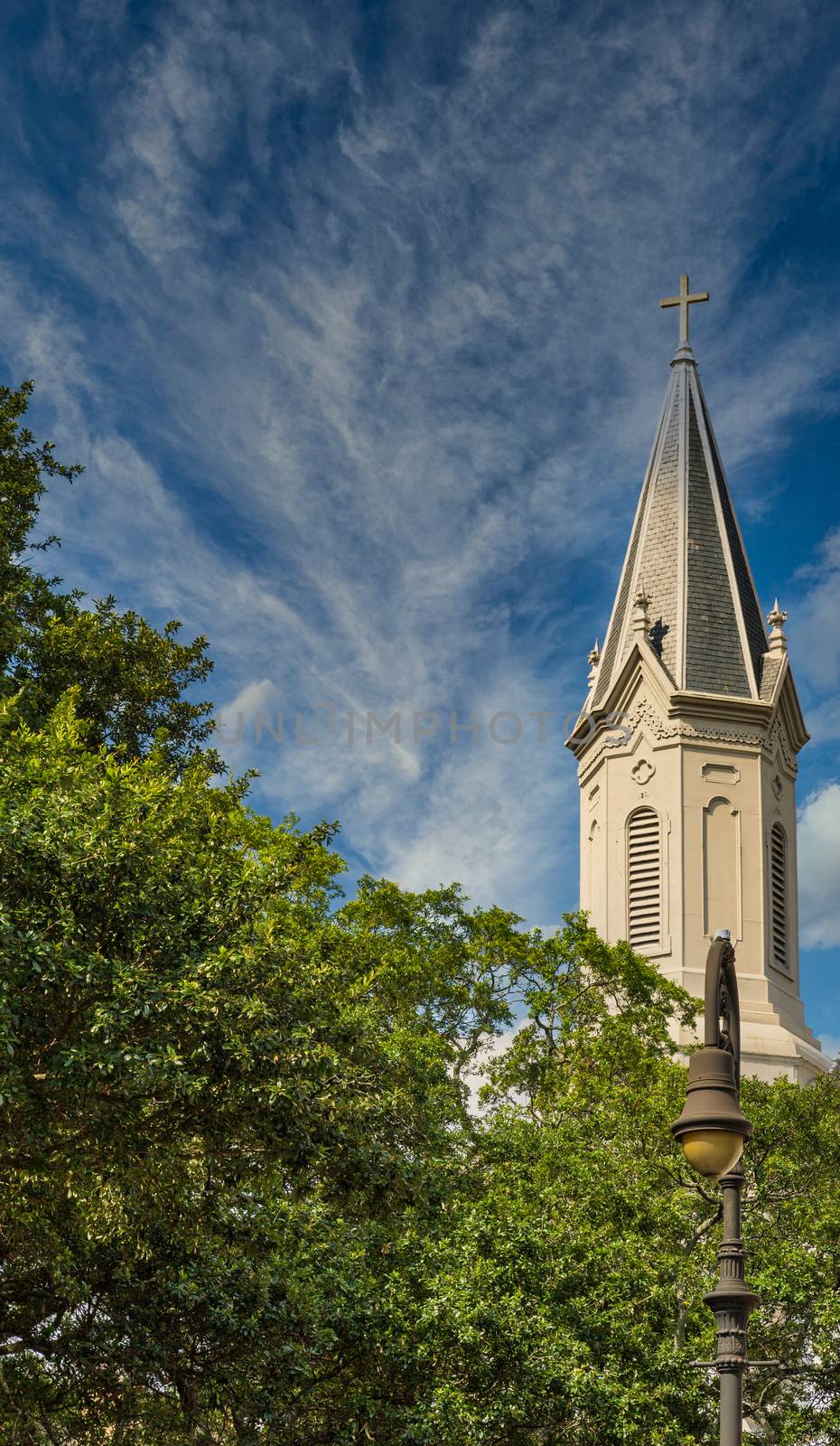 Savannah Church Steeple Over Trees by dbvirago