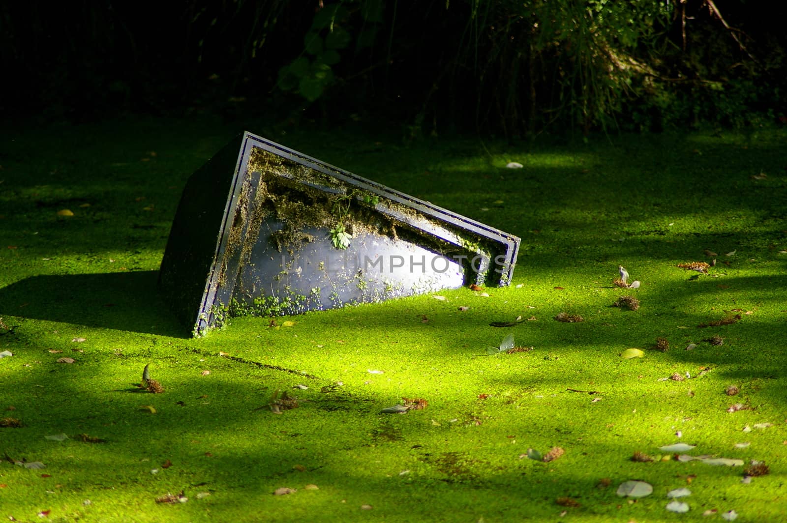 TV monitor discarded in an algae covered canal