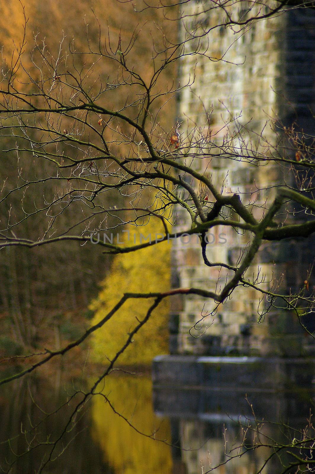 Bare, spidery tree branch by the side of a reservoir with the foot of a railway aqueduct arch in the background