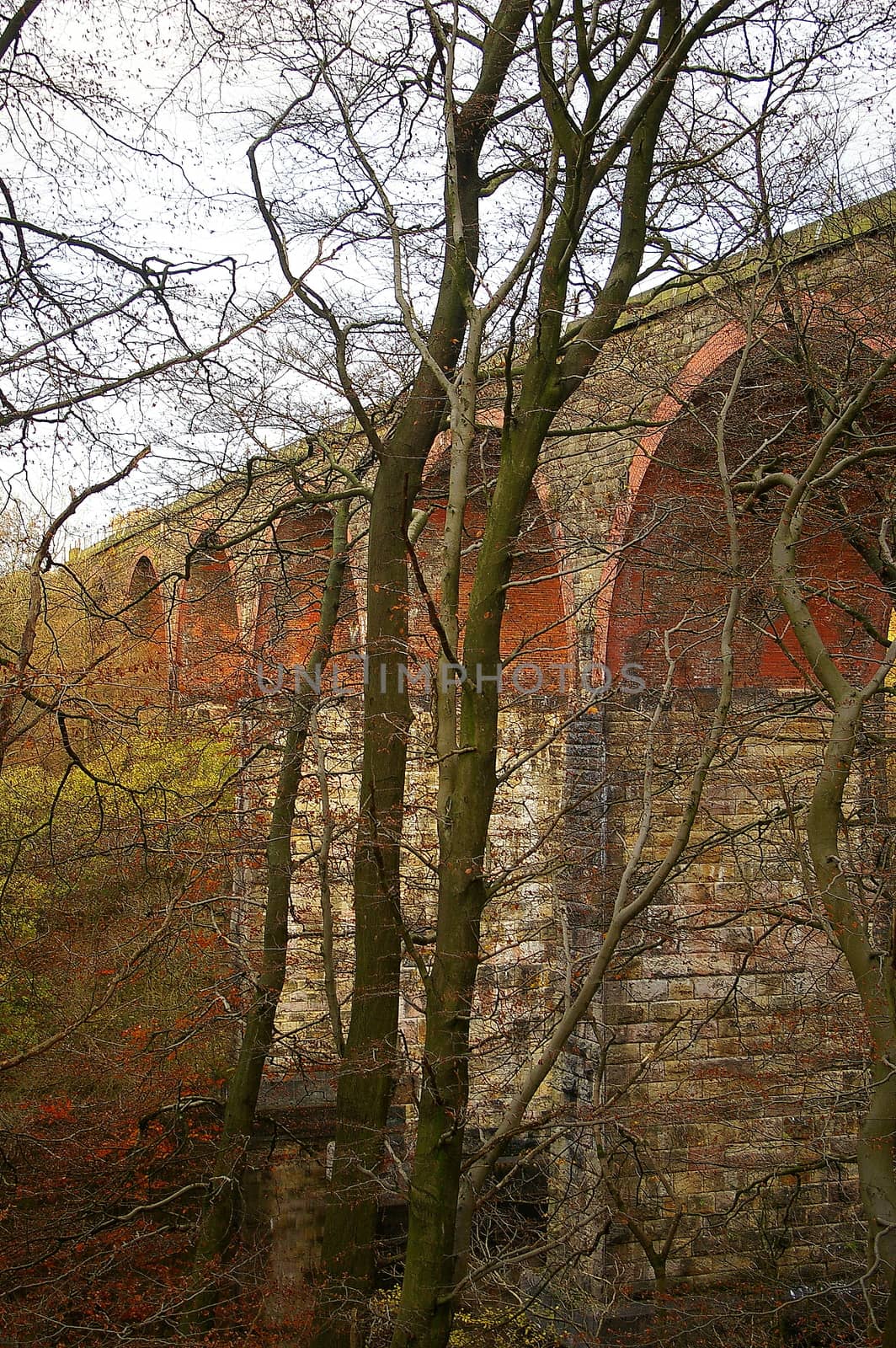 Trees in front of a railway viaduct with arches spanning a reservoir