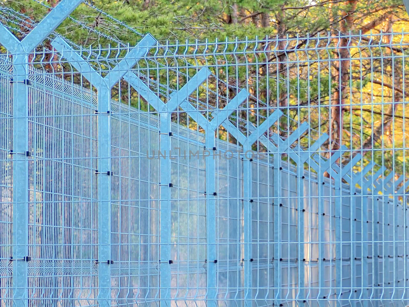 Selective focus. Security Fence In Prison. Lost freedom behind barbed wire. Old rusty barbed wire in the forest close up. Private property. Blue sky on background