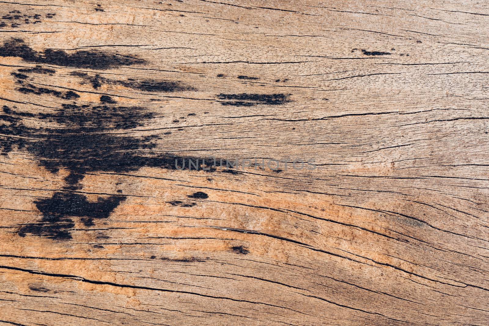 Old wood board, copy space wooden texture pattern background