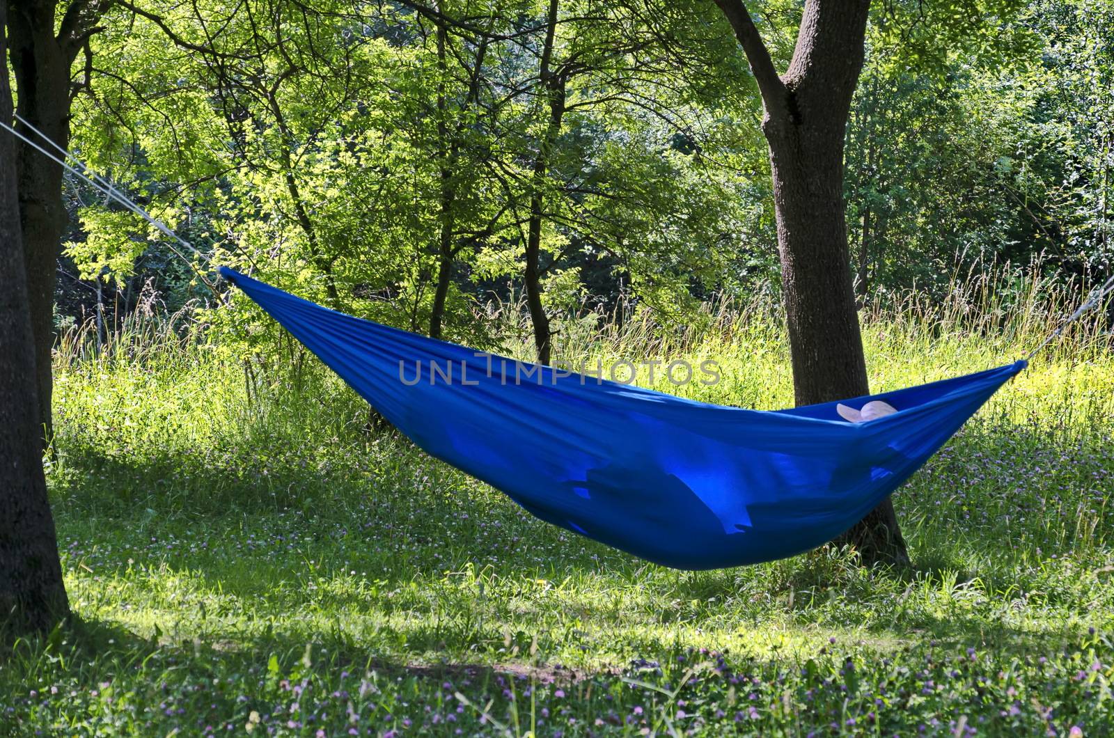 Picturesque view of glade with blue hammock in the forest at South park, Sofia, Bulgaria