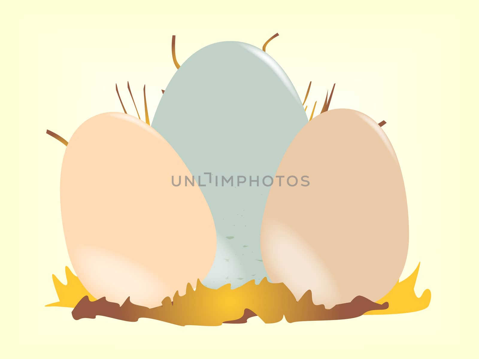 Two chicken eggs nestled together in a nest with a cuckoo egg.