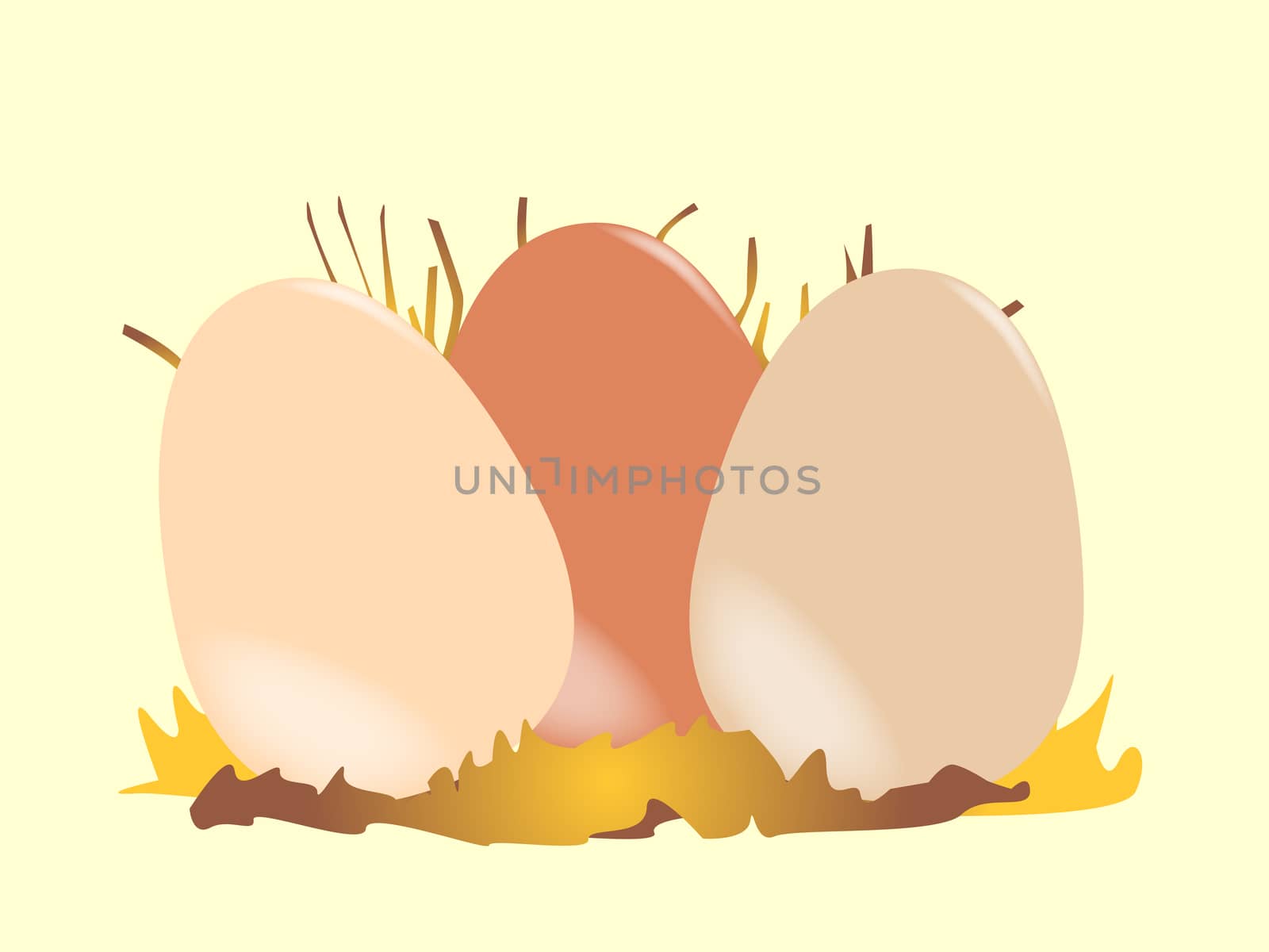 Eggs by Bigalbaloo