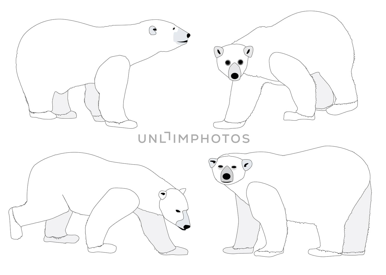 Polar Bears by Bigalbaloo