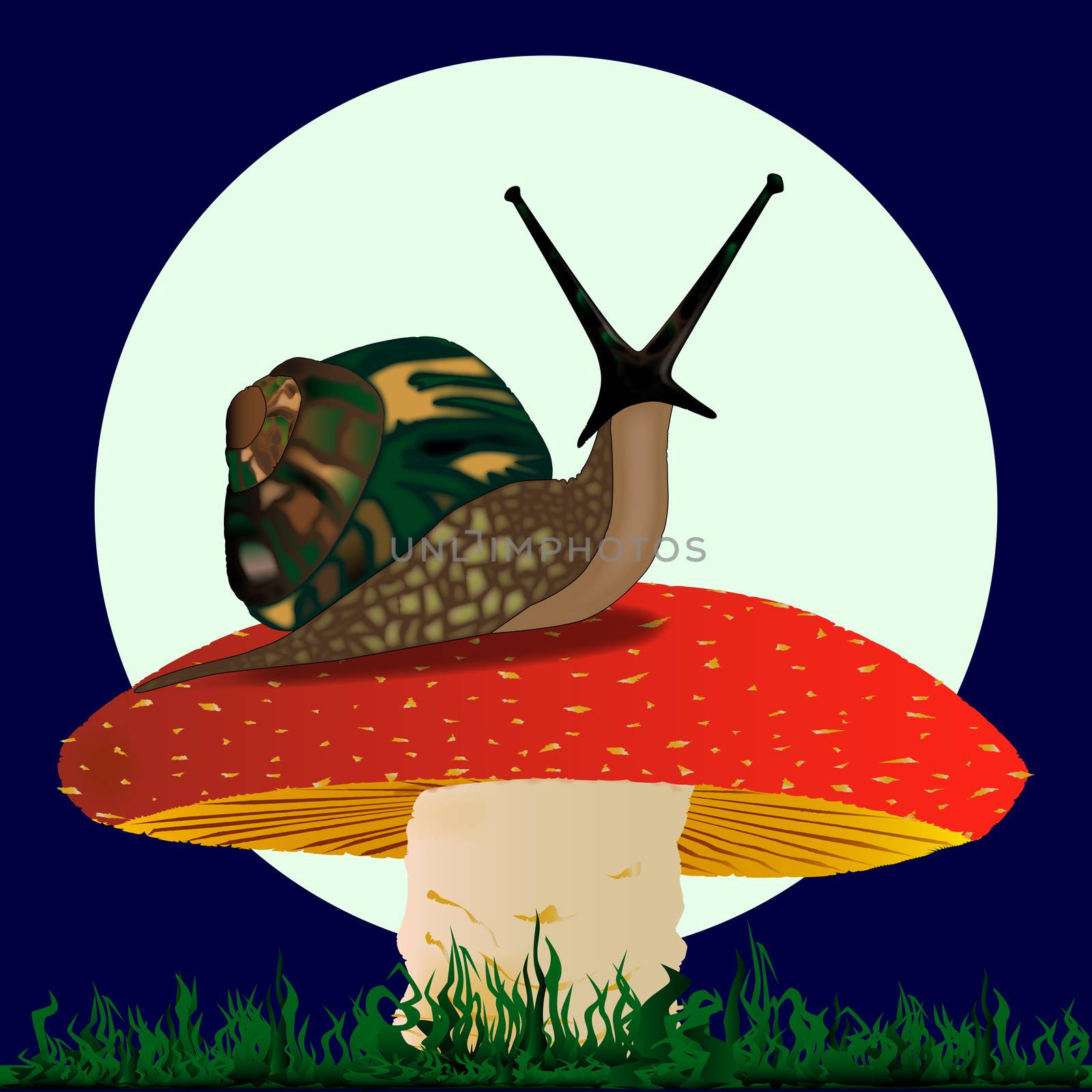 A snail basking on a mushroom under a full moon.