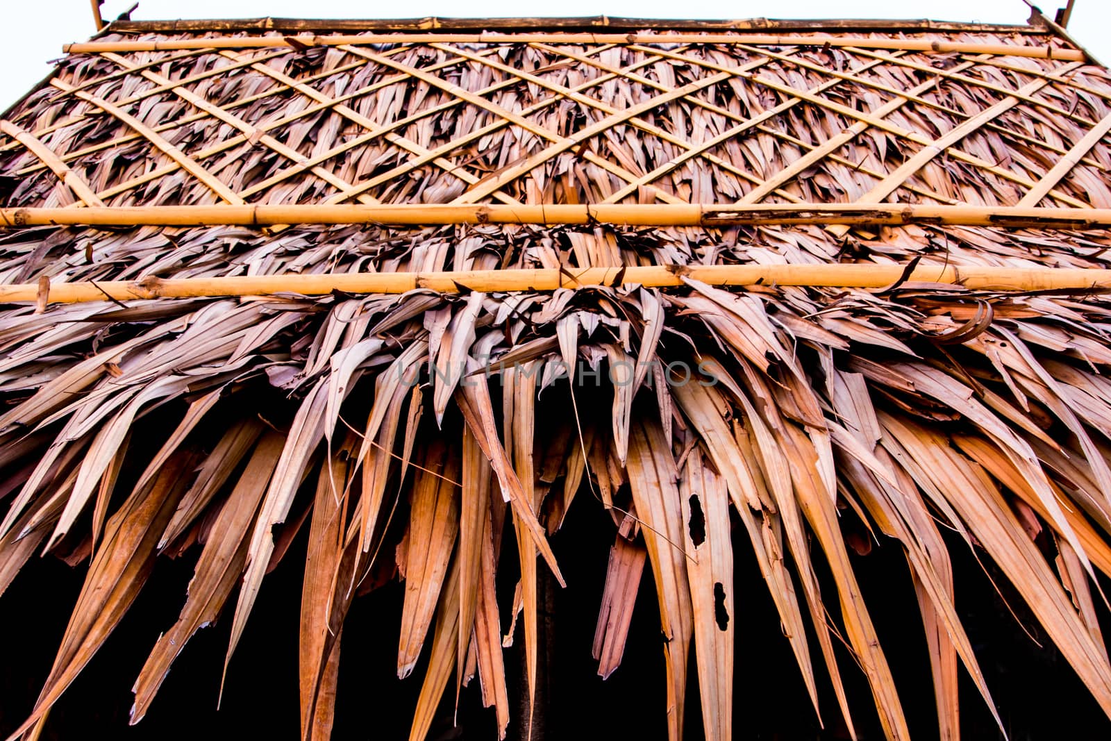 Roofs made from the blade of grass