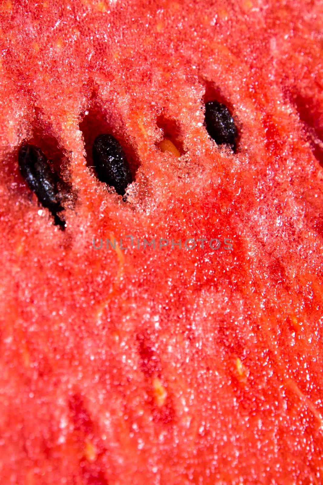 Texture of freshness red water melon