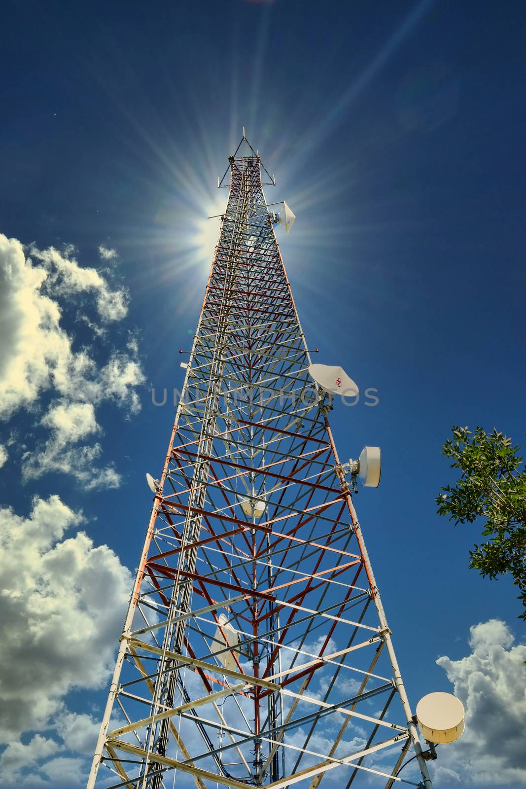 A modern microwave tower rising into a clear blue sky