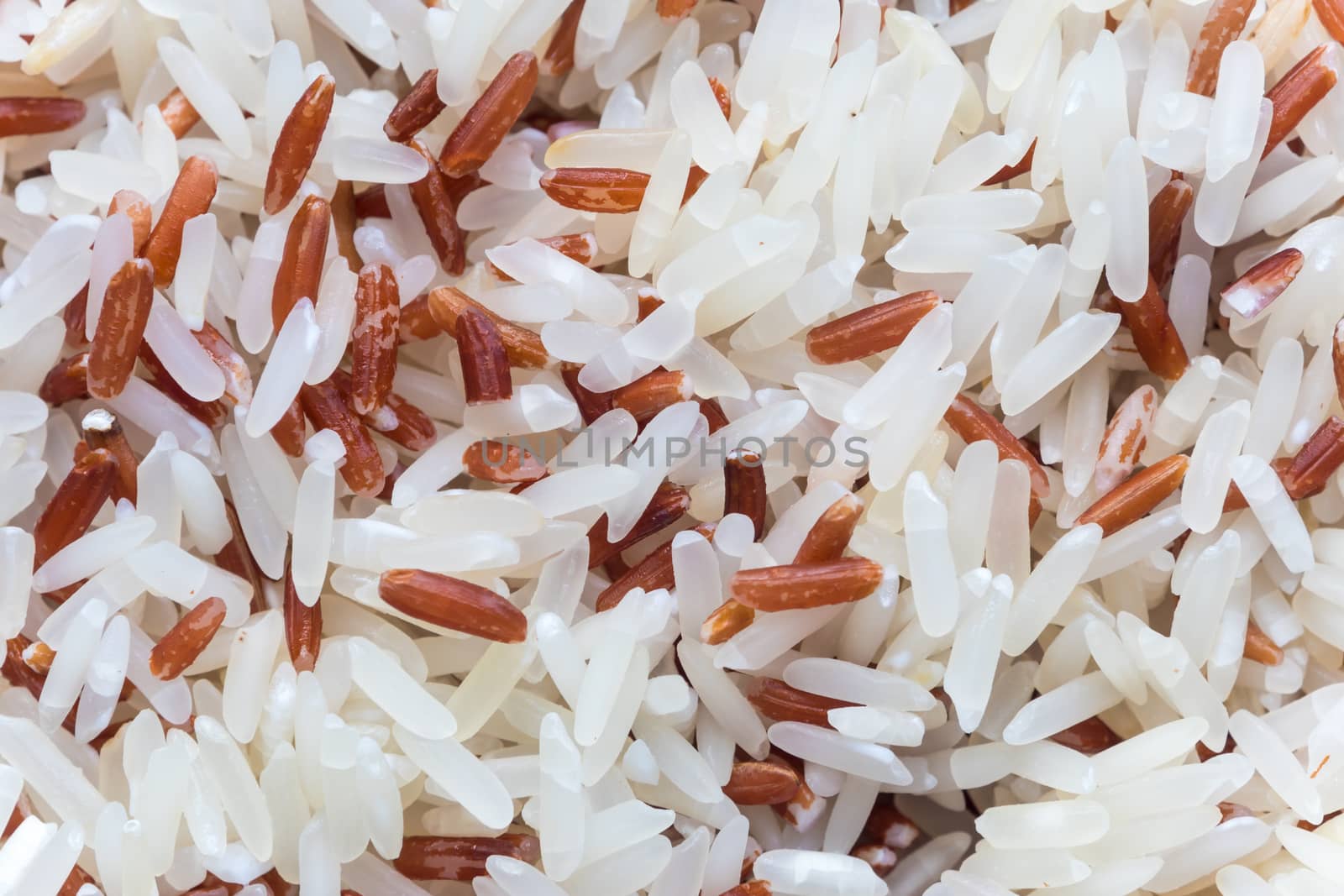 Mixed rice of white rice and brown rice prepare for cook