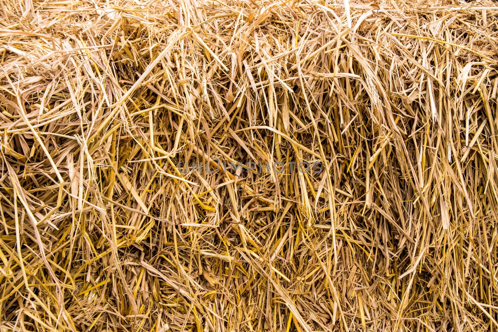 Texture of piled dried straw for animal feed