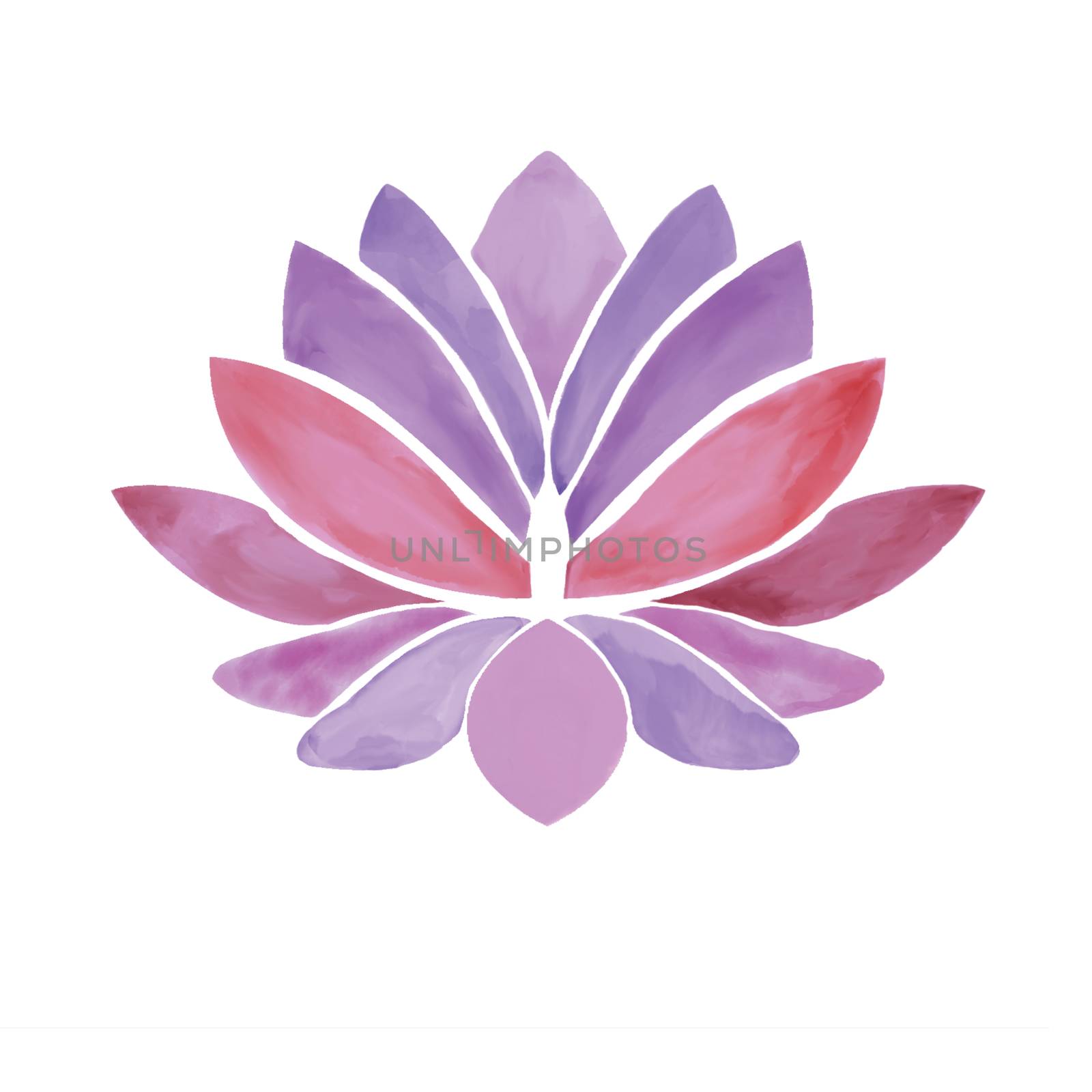 Decorative Watercolor lotus flower illustration.  by Margolana