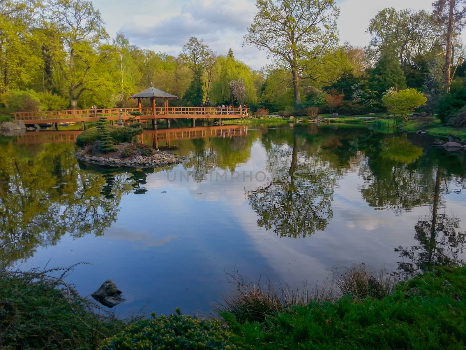 Colorful landscape of japanese garden in Wroclaw reflecting in lake by Wierzchu