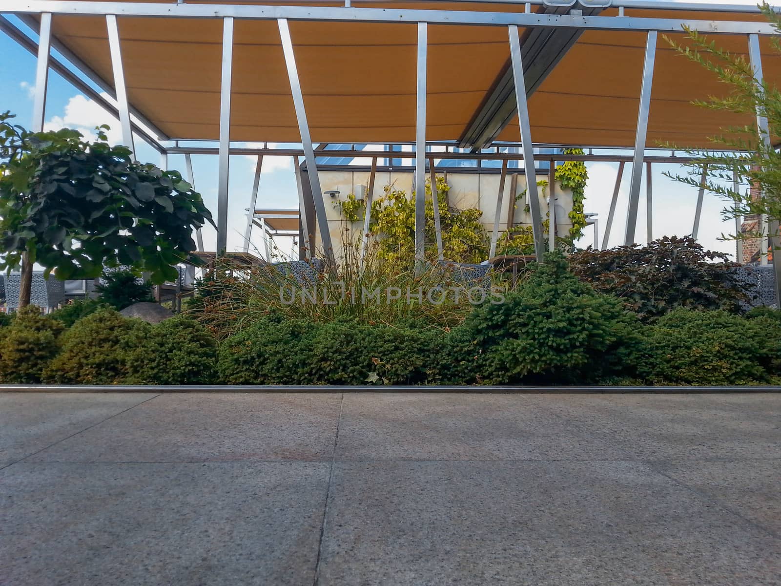 Concrete terrace on roof with bushes and plants in garden by Wierzchu