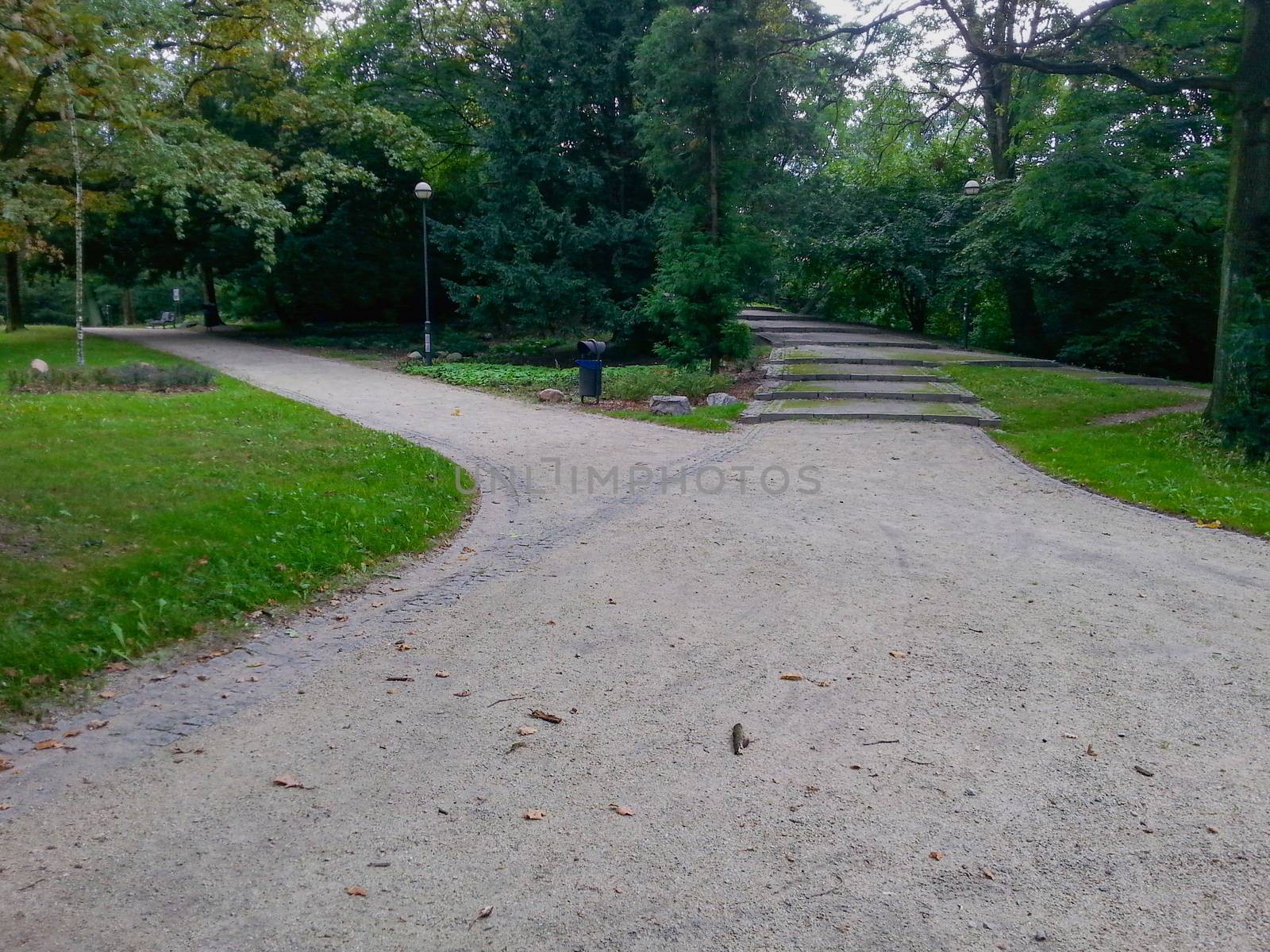 Crossing in the park road at autumn in Wroclaw city