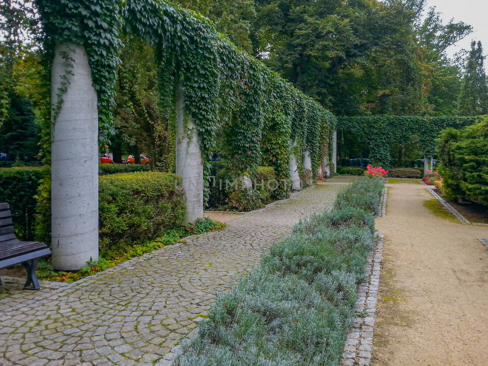 Concrete columns in biggest and colorful park in Wroclaw City  by Wierzchu