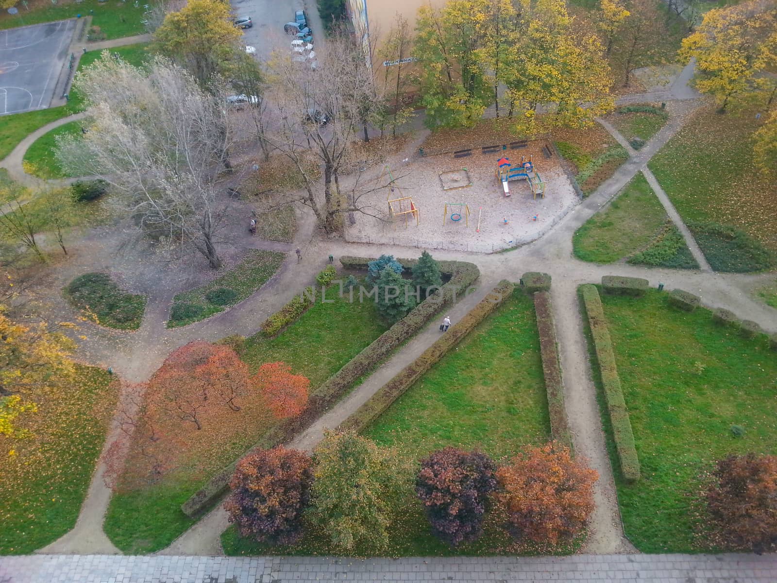 Look from viewpoint to Wroclaw park at autumn by Wierzchu