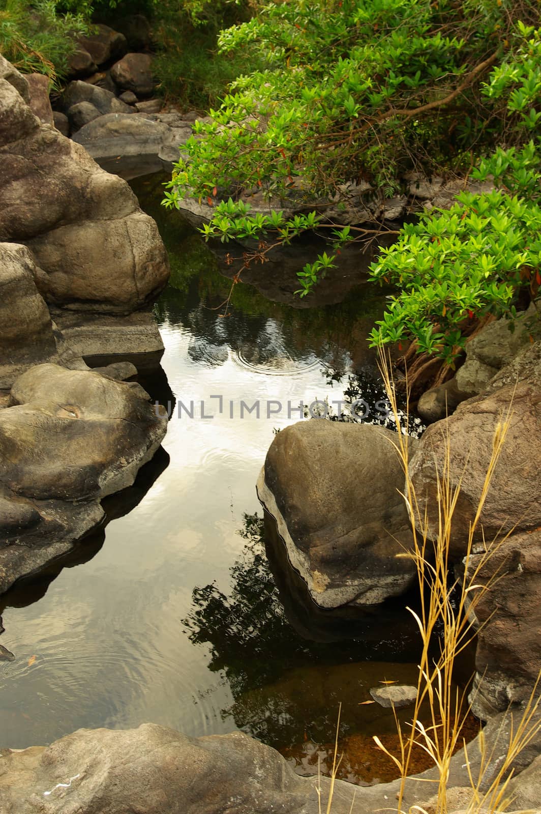 Watercourse from Khao-Yai by Satakorn