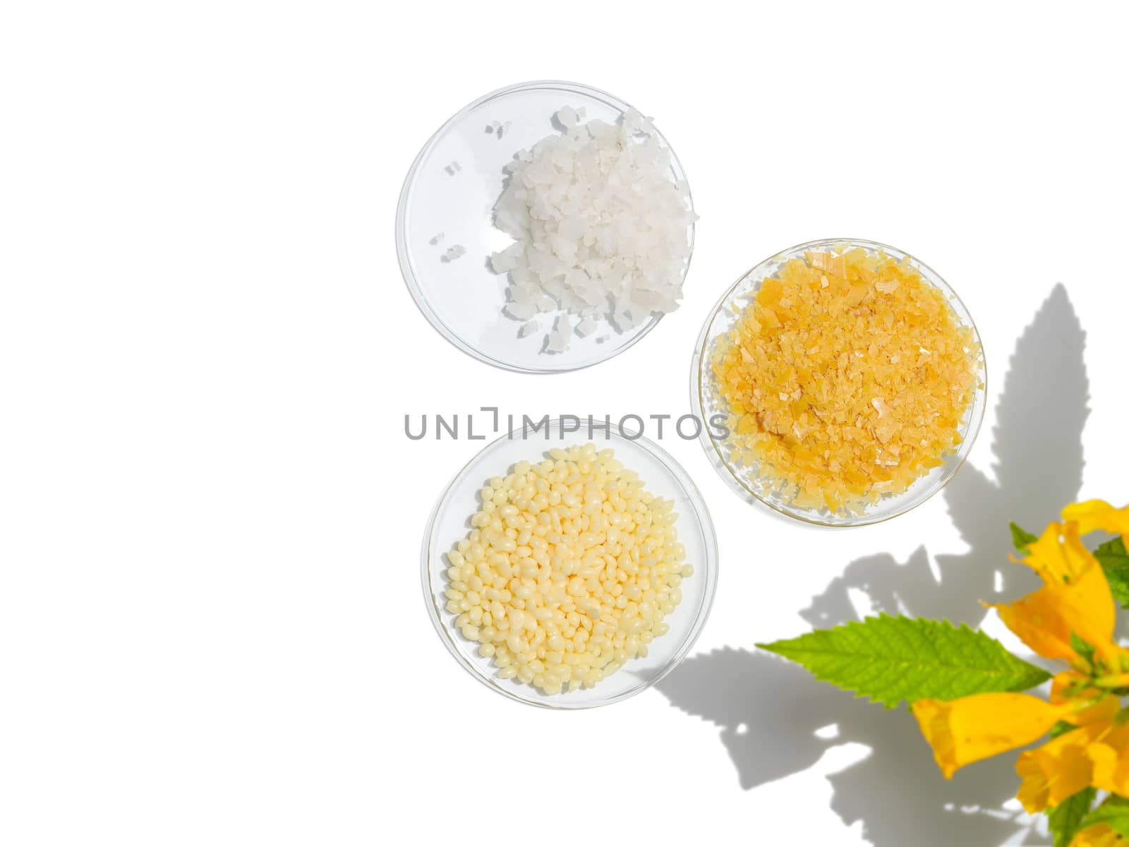 Spa products are beautifully arranged on a white table. Sea Salt, Carnauba Wax, Candelilla Wax SP-75