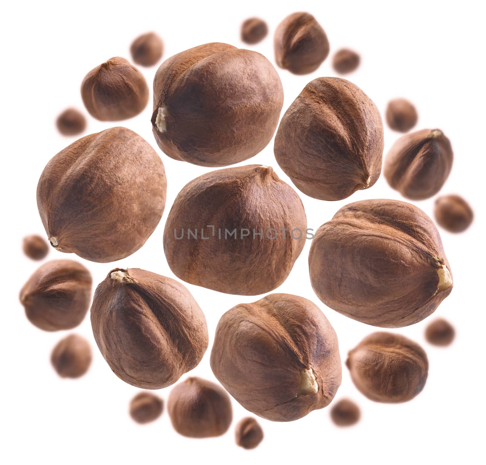 Peeled hazelnut levitates on a white background.
