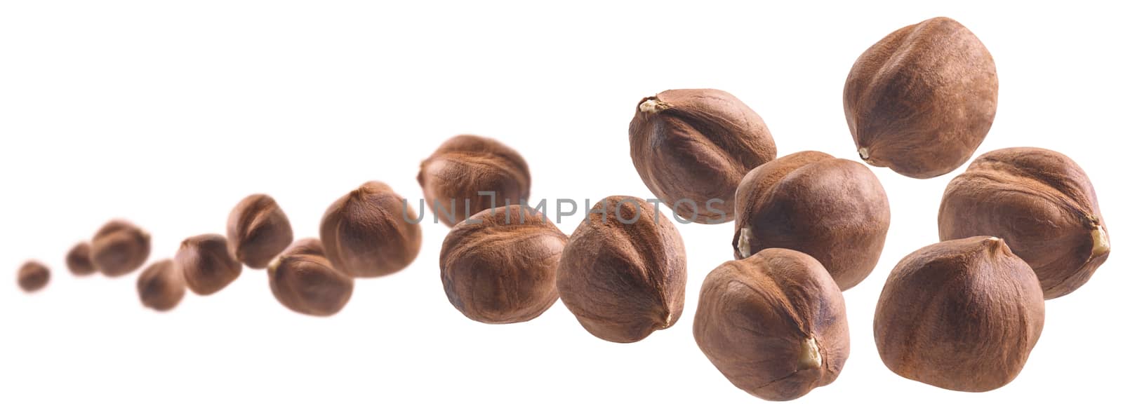 Peeled hazelnut levitates on a white background.