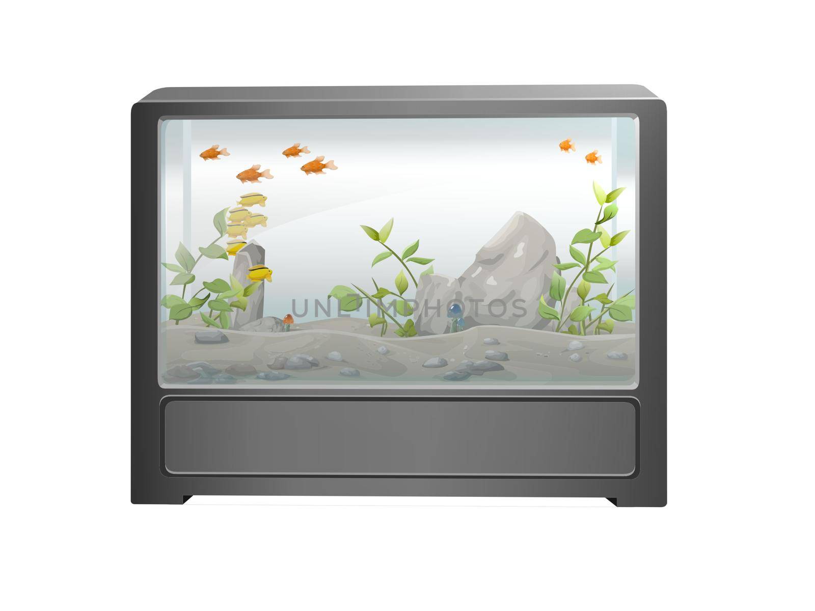 beautiful colors aquarium on white background - 3d rendering