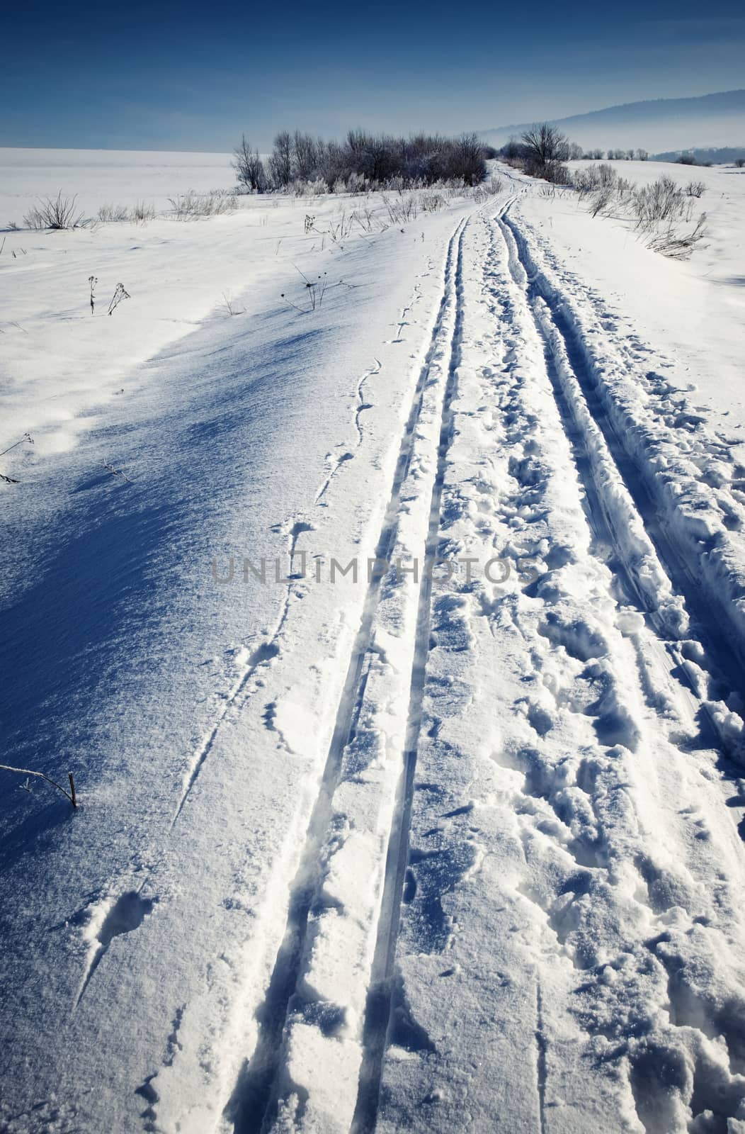 cross-country ski run through snowy landscape by Ahojdoma