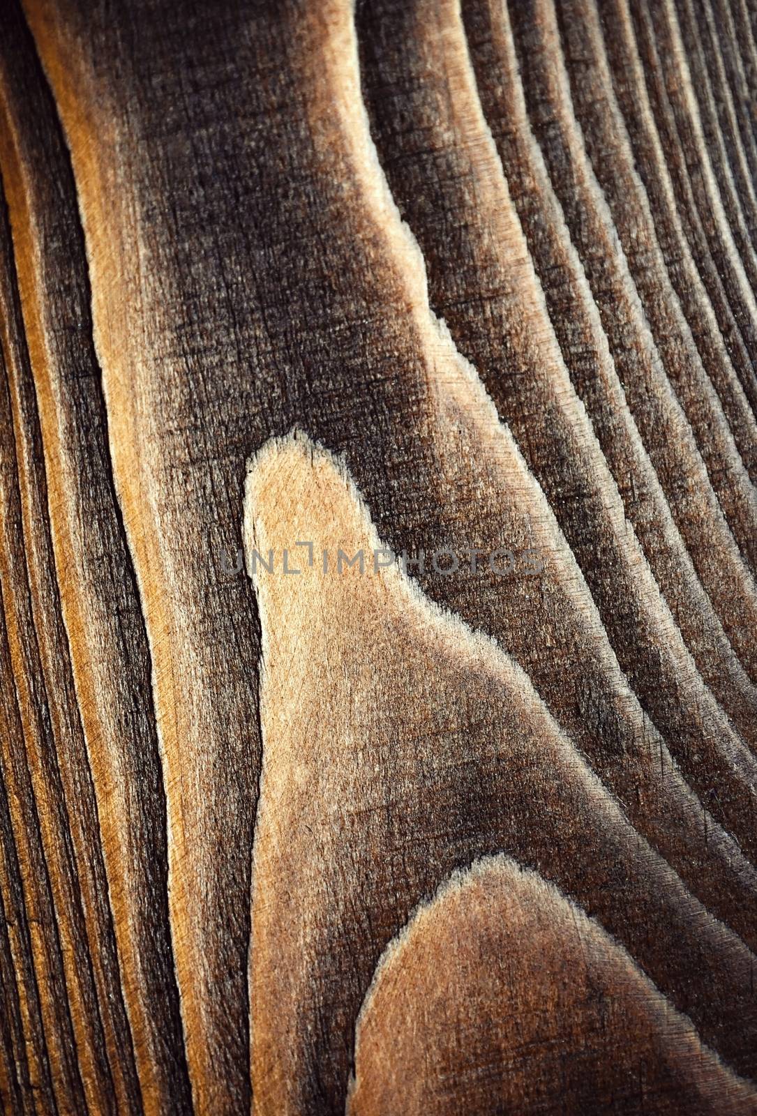 abstract background or texture detail of line year on dark brown wood