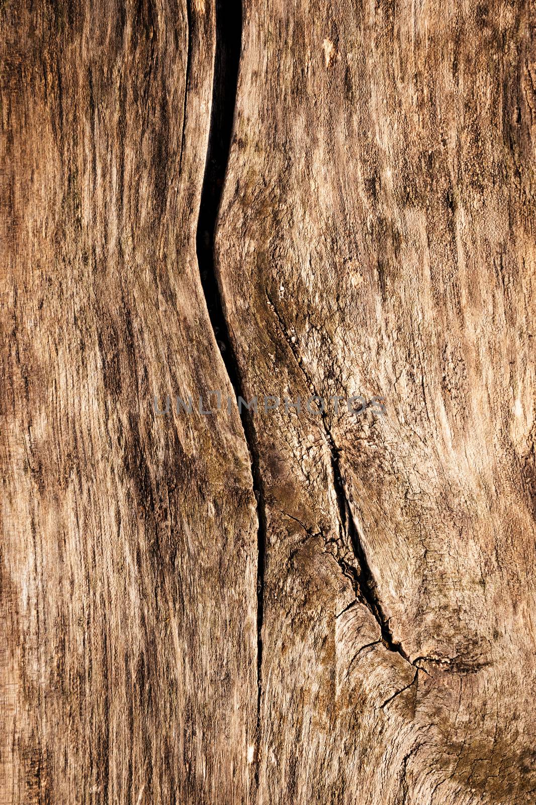 background or texture wavy crack on old wood