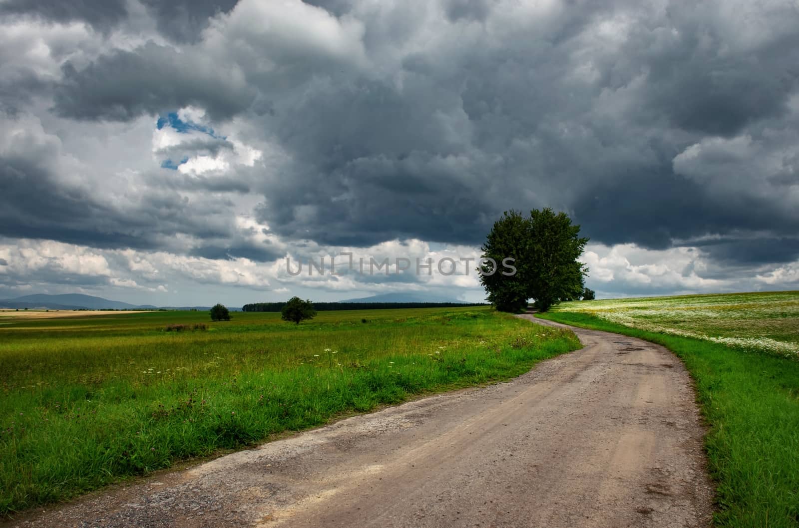 seasonal background landscape with gray heavy clouds and meadow