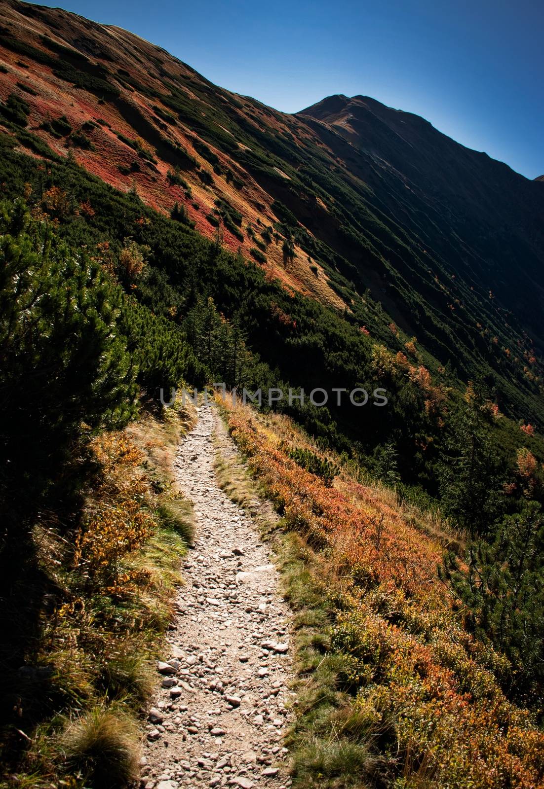 seasonal background Mountain walkway to autumn landscape