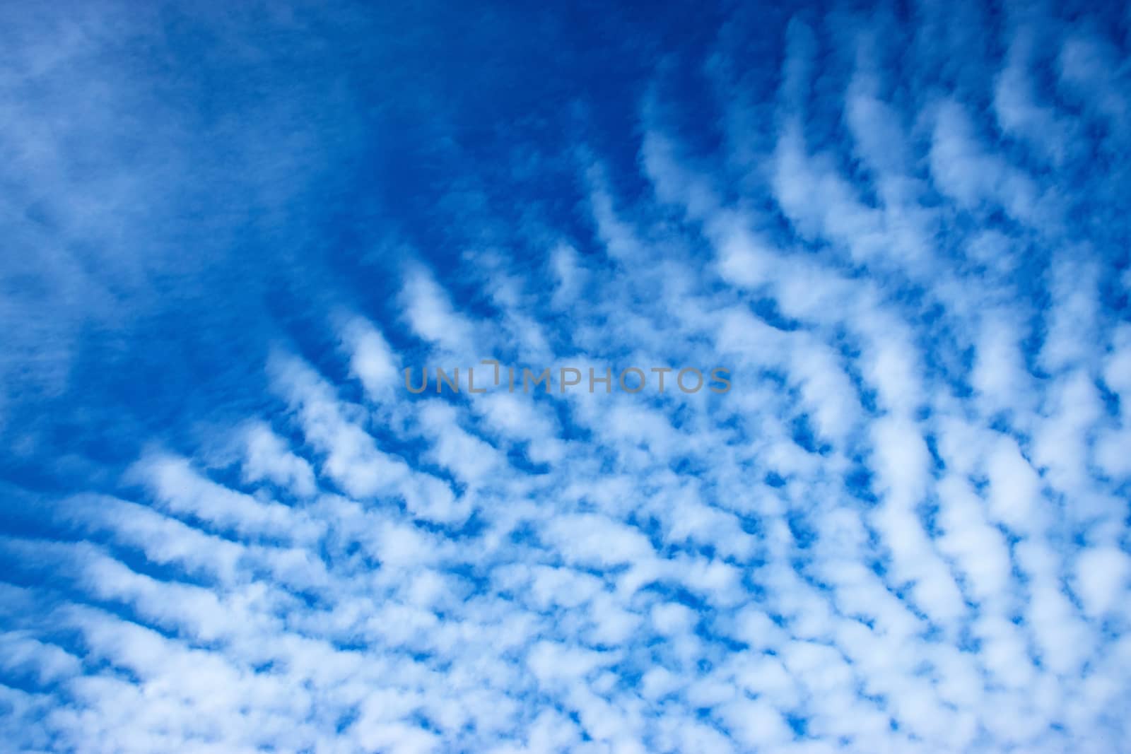 background or texture details sky with clouds algae