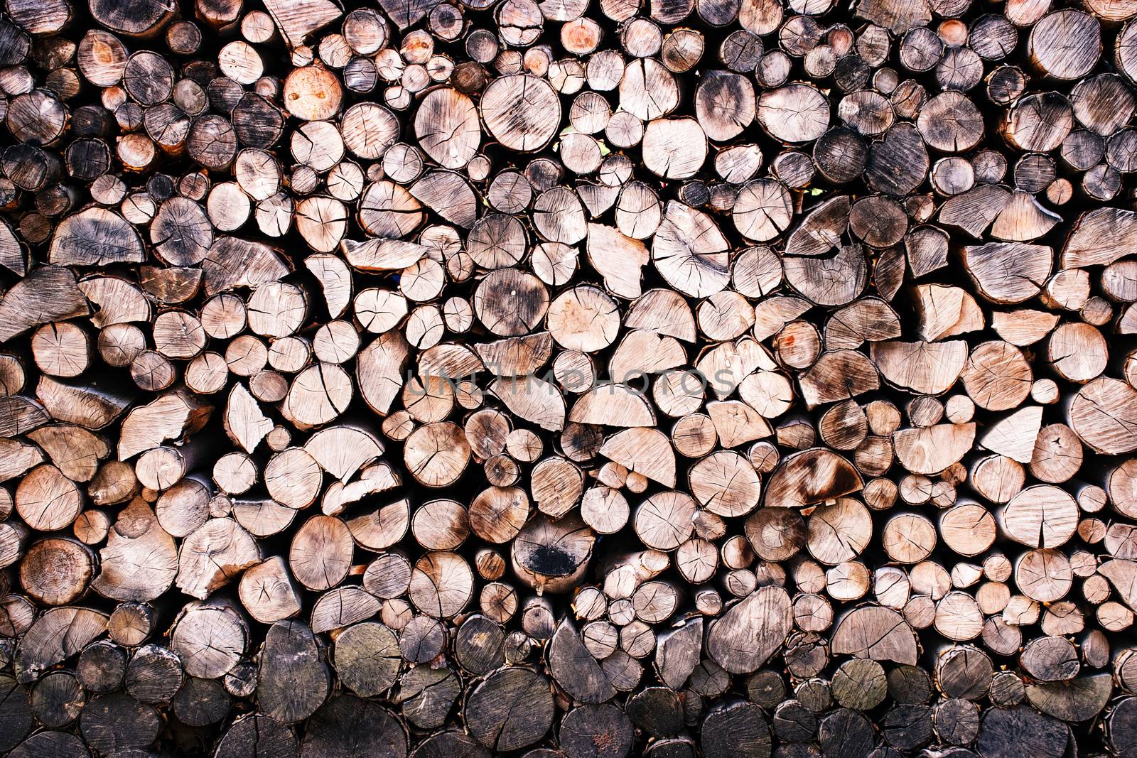 backgroun or texture sawn and deposited beech firewood