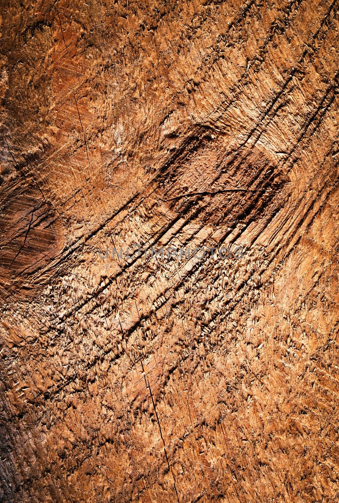 detail of roughly sawn old wooden boards by Ahojdoma