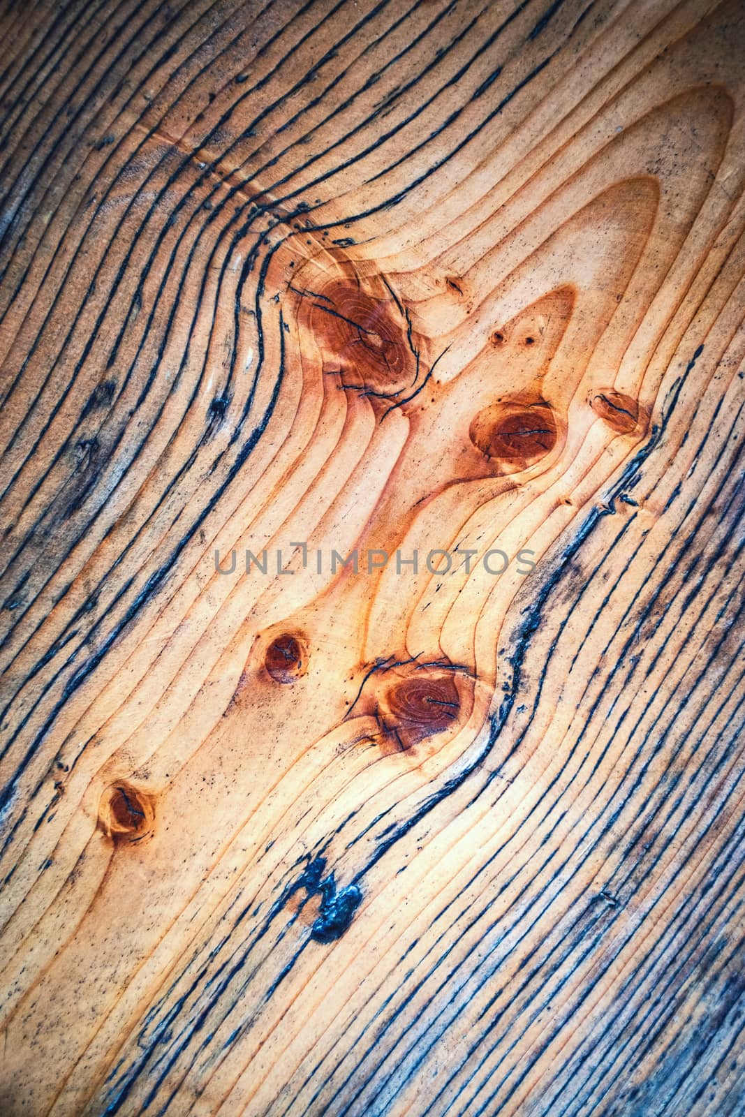 Detail of wooden spruce board by Ahojdoma