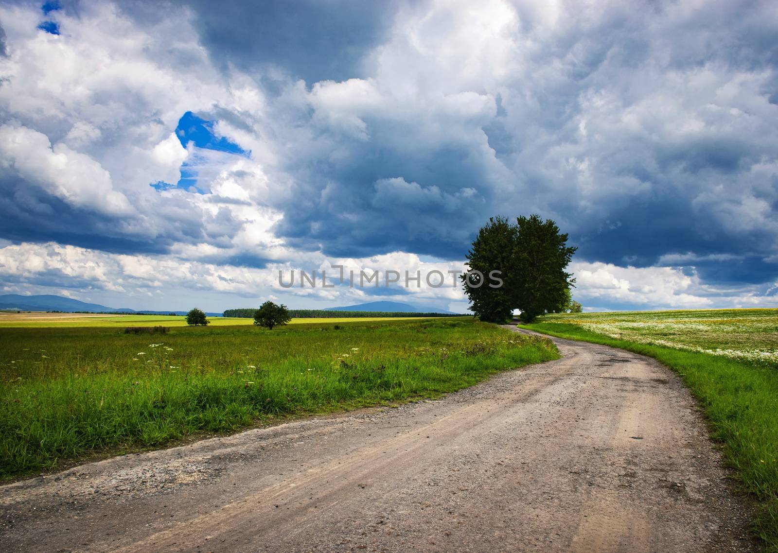 seasonal nature background dirt road in foothill summer landscape