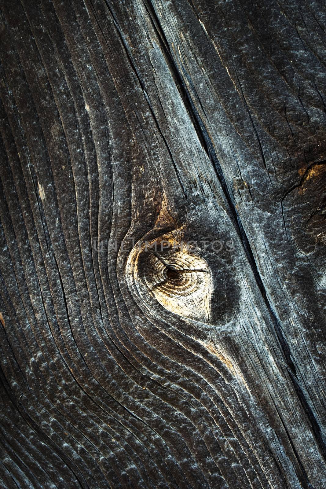 Detail of an old dark wooden board by Ahojdoma