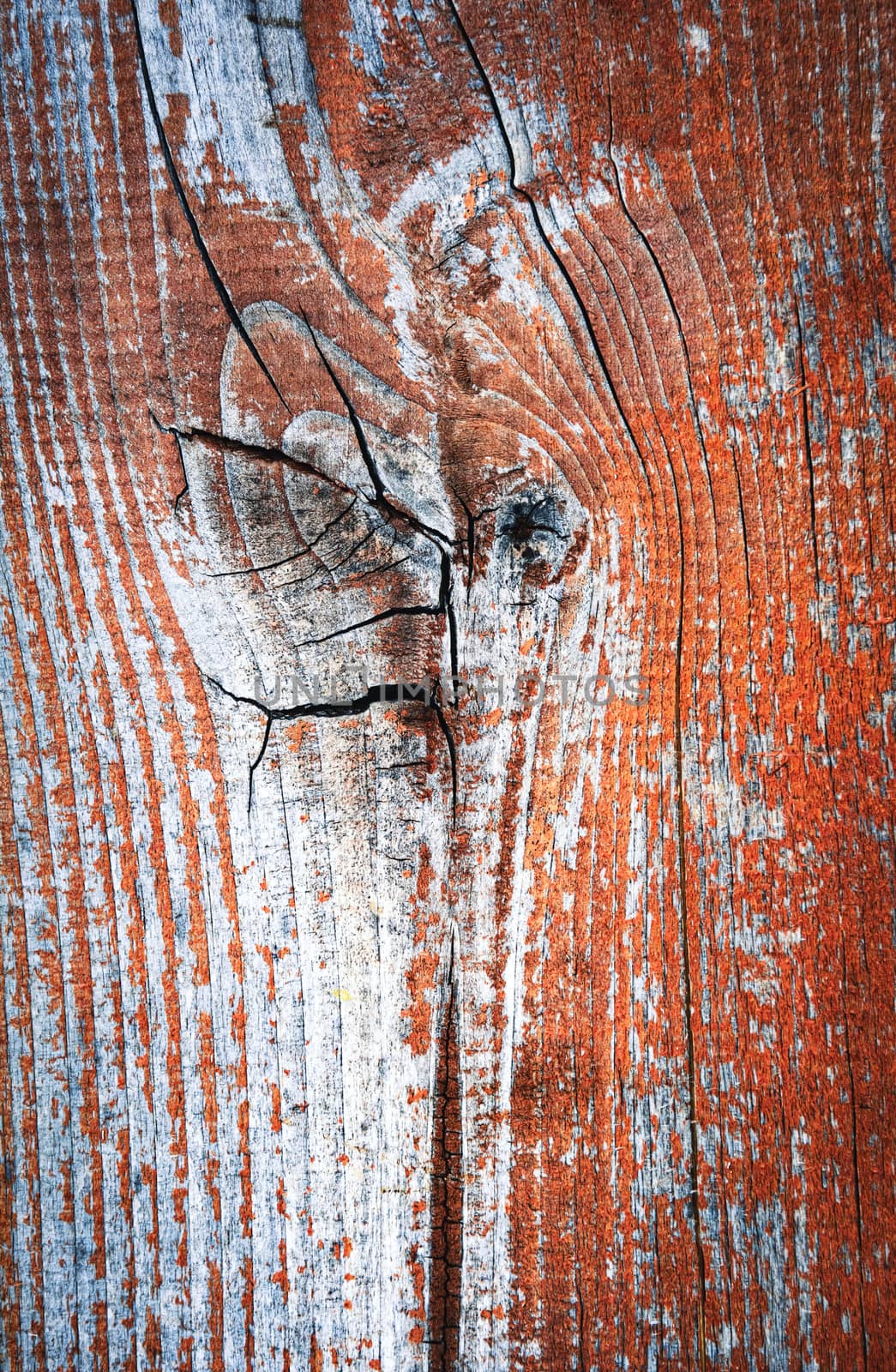 Detail of an old red stained wood board by Ahojdoma