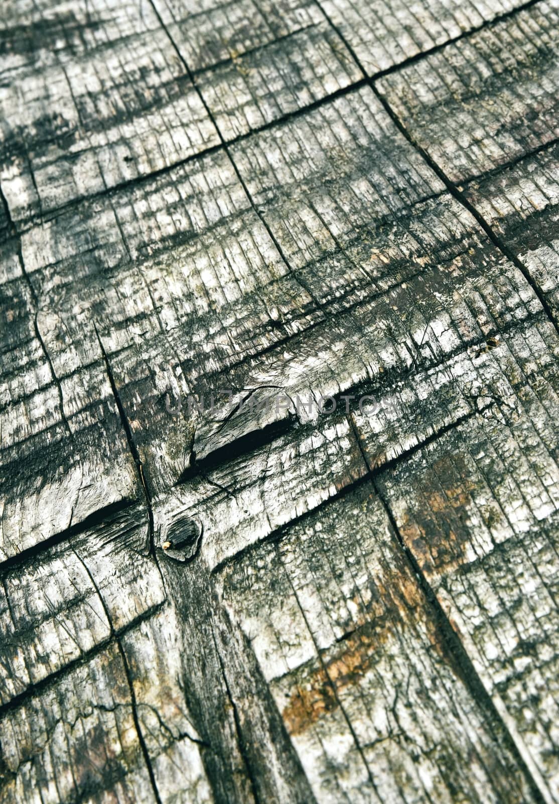 detail of old rusted wood board by Ahojdoma