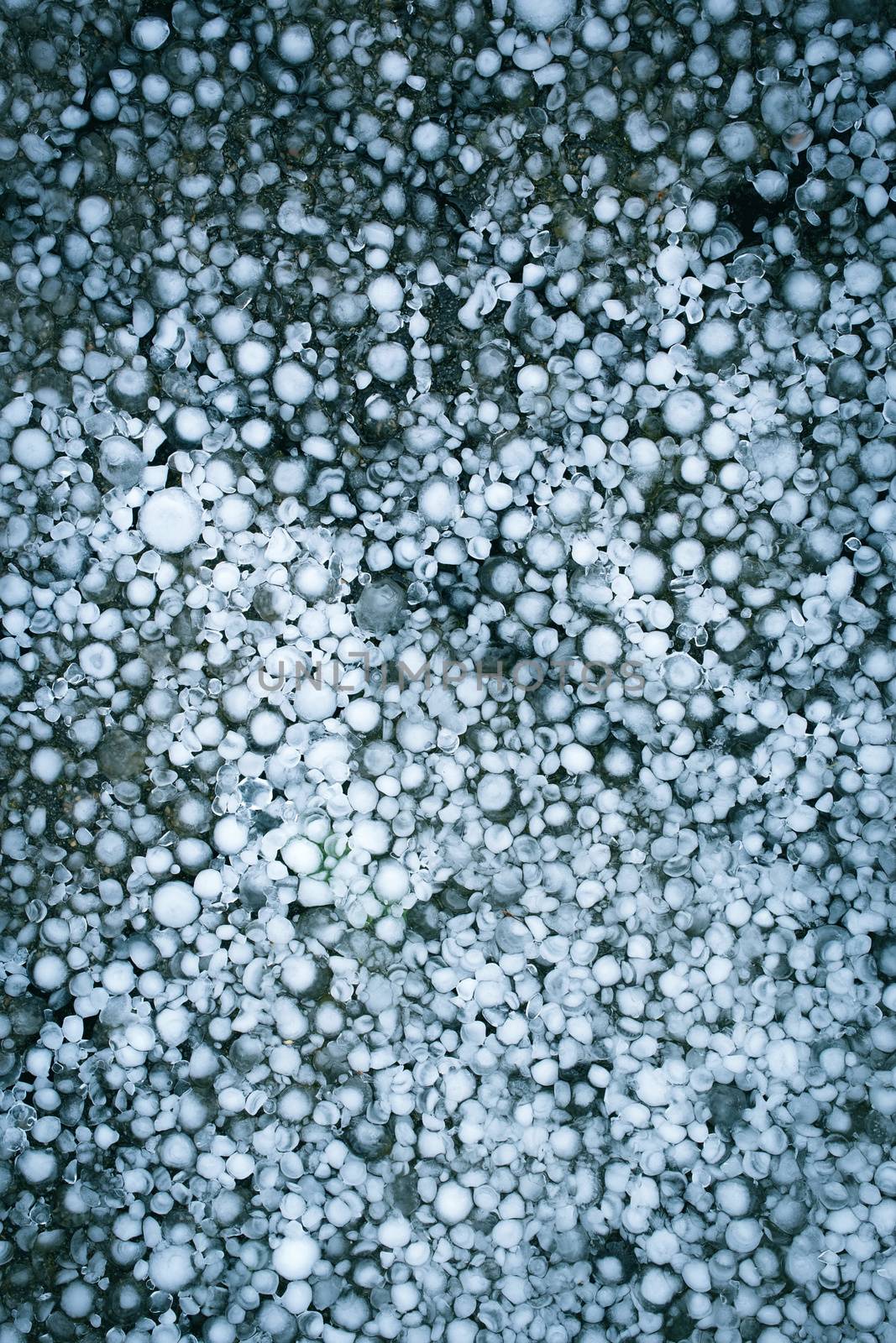 abstract background or texture ice hail after a storm